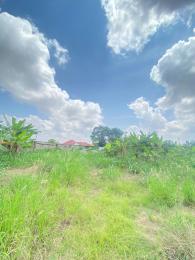 Land For Sale Tech Apemso Tech. Kumasi Metropolitan Ashanti
