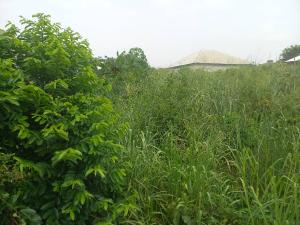 Land For Sale Ejisu, Kumasi Ghana Ejisu Ejisu-Juaben Municipal Ashanti