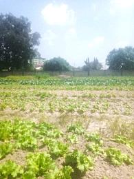 Land For Sale Kumasi Ayeduase Newsite After Ayeduase Knust. Kumasi Metropolitan Ashanti