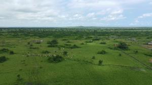 Land For Sale Shai Hills Shai Osudoku Accra