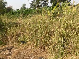 Land For Sale After Santasi Kumasi Metropolitan Ashanti