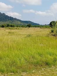Commercial Land For Sale Kwaminga Amusement Park Yilo Krobo Eastern Region
