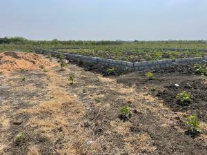 Land For Sale Tsopoli Ningo Prampram District Accra