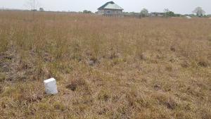 Land For Sale Central University Dawhenya Ningo Prampram District Accra
