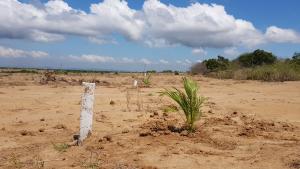 Land For Sale Pram City Ningo Prampram District Accra