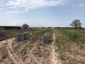 Land For Sale Lapkleku Solomon Court Dawhenya Ningo Prampram District Accra