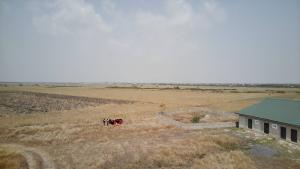 Land For Sale Ningo Prampram District Accra