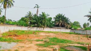 Land For Sale Tesano Accra Ghana. Tesano Accra