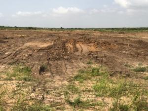 Land For Sale Buerko Bueko Ningo Prampram District Accra