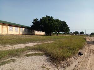 Land For Sale Central University Dawhenya Ningo Prampram District Accra