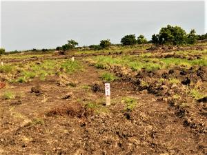 Land For Sale Tema Accra
