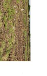 Land For Sale Central University Tsopoli Ningo Prampram District Accra