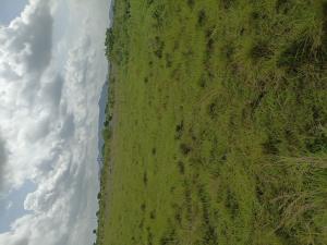 Land For Sale School Junction Shai Osudoku Accra