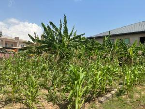 Land For Sale Adjiringanor East Legon Accra