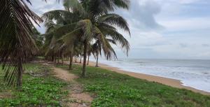 Land For Sale Dutch Komenda Elmina Komenda/Edina/Eguafo/Abirem Municipal Central Region