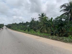 Land For Sale Pakro Off Nsawam Nsawam Akuapim South Municipal Eastern Region