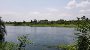 Land For Sale Senchi Asuogyaman Eastern Region