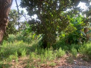 Land For Sale Tantra Hill Achimota Accra