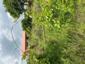 Land For Sale Adeiso Nsawam Akuapim South Municipal Eastern Region