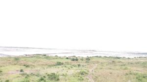 Land For Sale Gyangyanadze Effutu District Effutu Municipal Central Region