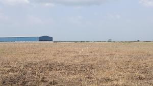Land For Sale Central University Dawhenya Ningo Prampram District Accra