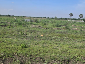 Land For Sale Doryumu Shai Hills Shai Osudoku Accra