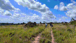 Land For Sale Suhum/Kraboa/Coaltar Eastern Region