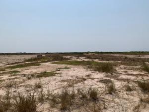 Land For Sale Community 25 Mall Community 25 Tema Accra
