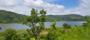 Mixed use Land For Sale Afadzato Afadjato South Volta Region