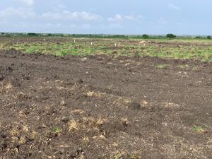 Land For Sale Ningo Prampram District Accra