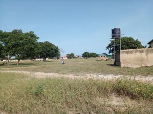 Land For Sale Central University Dawhenya Ningo Prampram District Accra