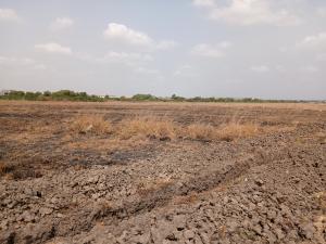 Land For Sale Community 25 Mall Tema Accra
