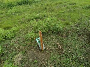 Land For Sale Shai Hills School Junction Shai Hills Shai Osudoku Accra