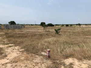 Land For Sale Tsopoli Police Barrier After New Airport City Ningo Prampram District Accra