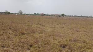 Residential Land For Sale Central University Bueko Ningo Prampram District Accra