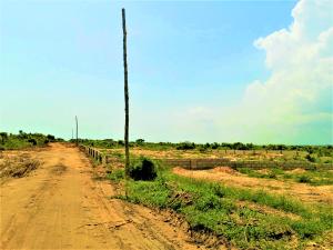 Land For Sale Alpha Prampram Ningo Prampram District Accra