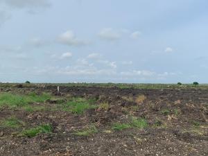 Land For Sale Dawhenya Near Rice Dawhenya Terrazzo Tema Accra