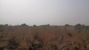 Land For Sale Tsopoli Ningo Prampram District Accra