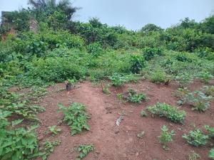 Land For Sale Sofokrom, Takoradi Takoradi Sekondi-Takoradi Western Region