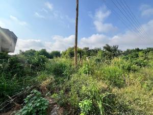 Land For Sale Ayi Mensah Oyarifa La Nkwantanang Madina Municipal Accra