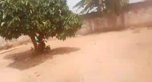 Land For Sale Danfa Kweiman Adenta Municipal Accra
