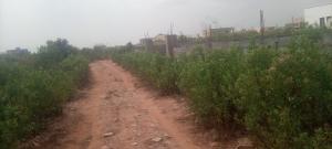 Land For Sale East Legon Ogbojo Ghana Accra Metropolitan 