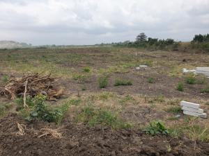 Land For Sale Tema Accra