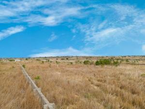 Mixed use Land For Sale Ningo Prampram District Accra