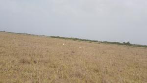 Land For Sale Central University Destination Bueko Ningo Prampram District Accra