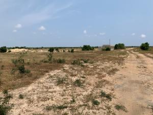 Land For Sale Police Barrier Central University Tsopoli Ningo Prampram District Accra